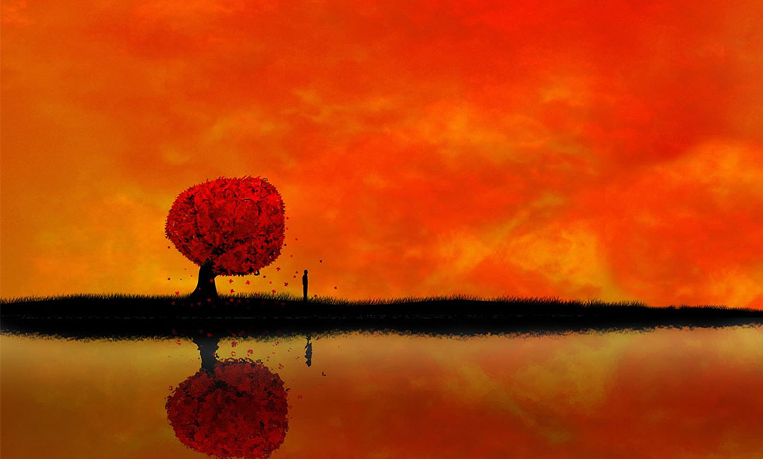 太仓笙影微信朋友圈转发案例